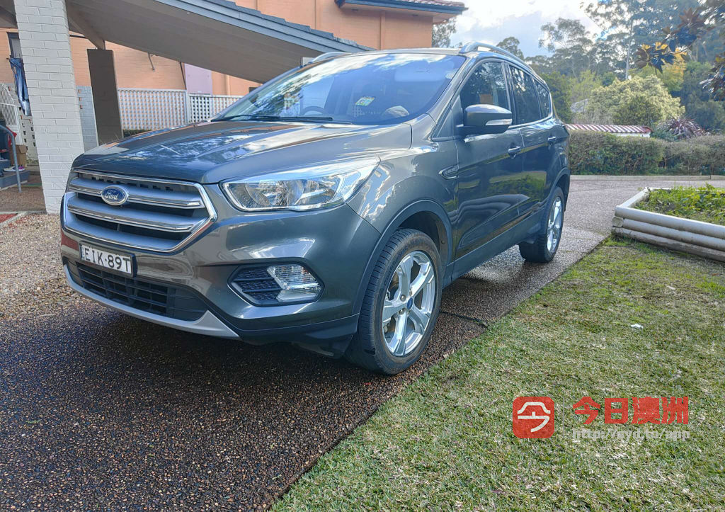 Ford 2019年 Escape 16T 自动