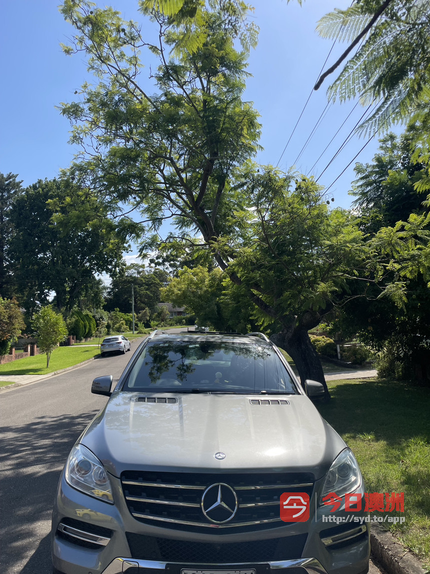 MercedesBenz 2013年 ML250 25T 自动