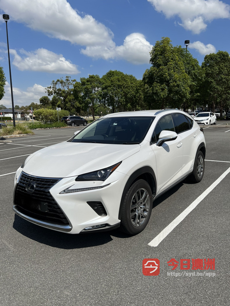 Lexus 2019年 NX 25L 自动