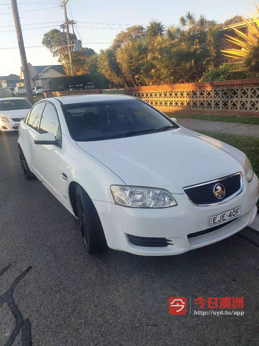 Holden 2011年 Commodore  自动