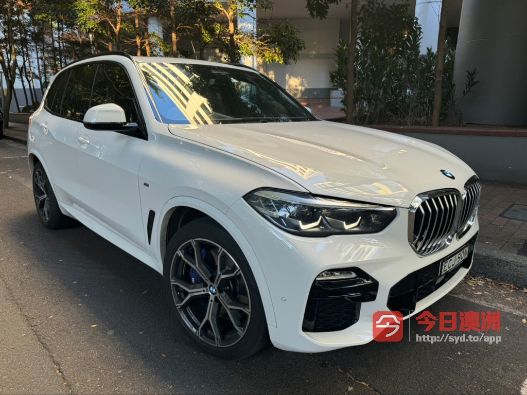 BMW 2019年 X5 30T 自动