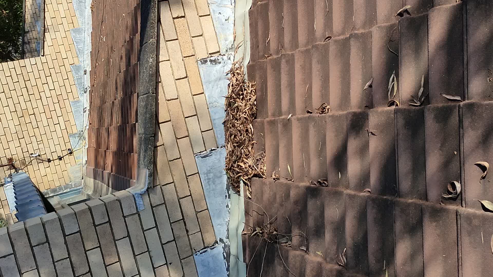  悉尼专业 屋顶漏水维修 漏水诊断 换铁皮瓦  水槽等