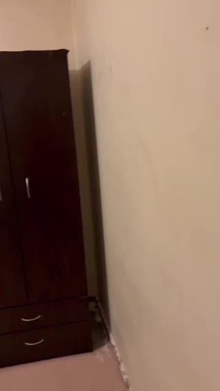 Homebush West flemington 190单间 近火车站 全包 有家具