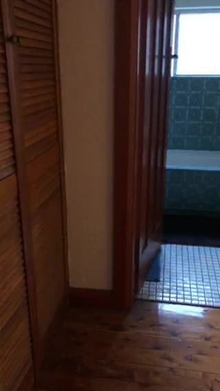 Earlwood 机場線近Bexley North 火車站