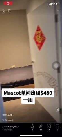 Mascot 单间出租450一周